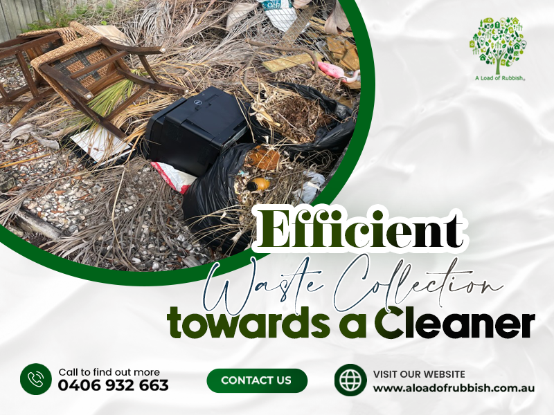 Efficient Waste Collection Towards A Cleaner Sunshine Coast