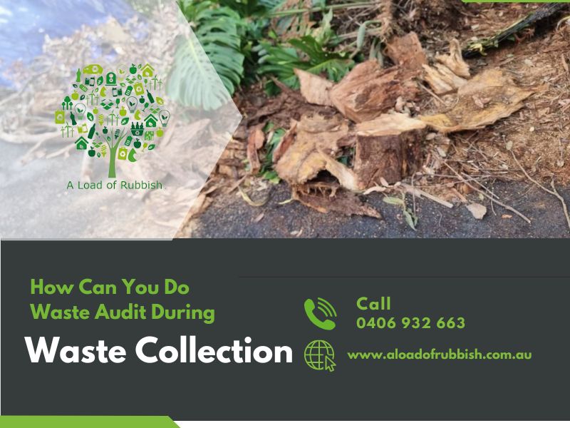 How Can You Do Waste Audit During Waste Collection